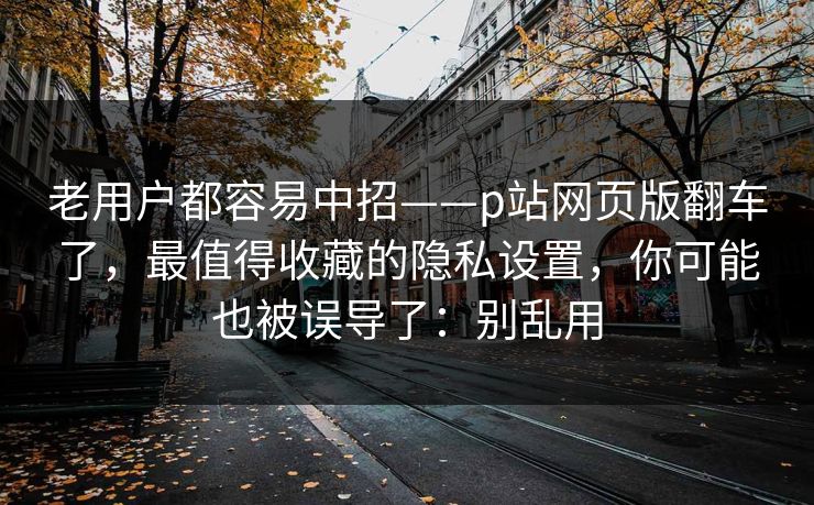 老用户都容易中招——p站网页版翻车了，最值得收藏的隐私设置，你可能也被误导了：别乱用