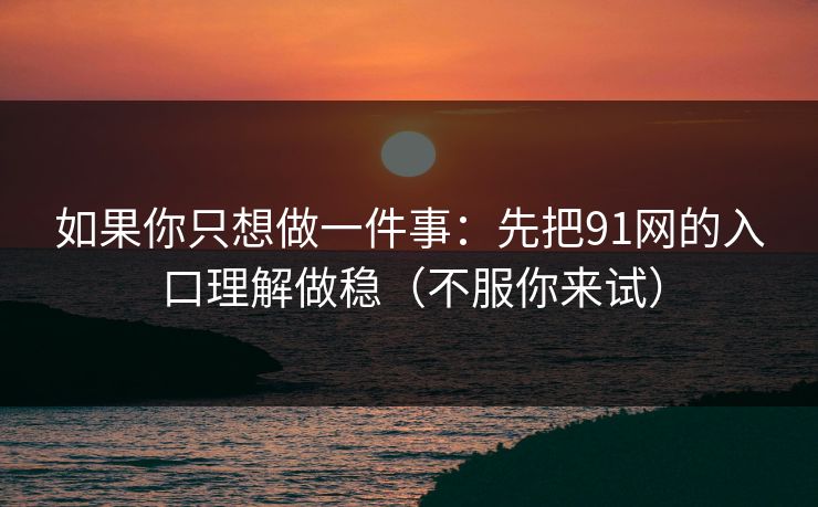 如果你只想做一件事：先把91网的入口理解做稳（不服你来试）